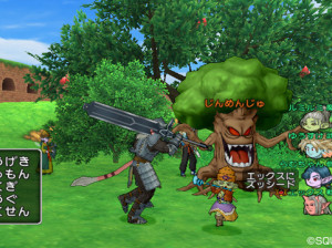 Dragon Quest X - Wii