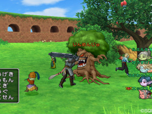 Dragon Quest X - Wii