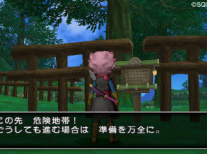 Dragon Quest X - Wii U