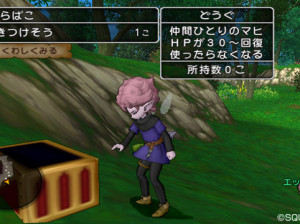 Dragon Quest X - Wii U