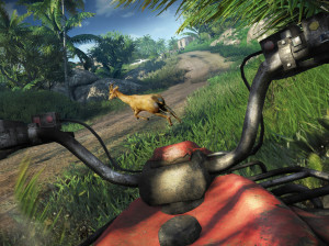 Far Cry 3 - PC