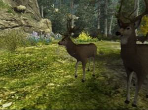 Cabela's Big Game Hunter 2010 - Wii