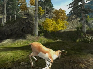 Cabela's Big Game Hunter 2010 - Wii