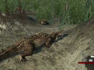 Cabela's Dangerous Hunts 2011 - Xbox 360