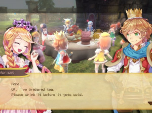 New Little King's Story - PSVita