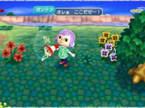 Animal Crossing : New leaf - 3DS