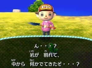 Animal Crossing : New leaf - 3DS