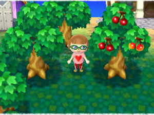 Animal Crossing : New leaf - 3DS