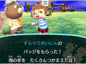 Animal Crossing : New leaf - 3DS