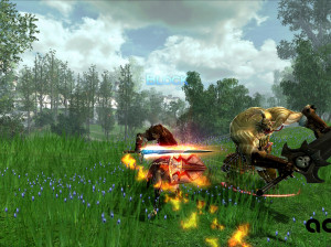 Dragon Knight Online - PC