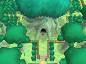 Pokémon Version Blanche 2 - DS