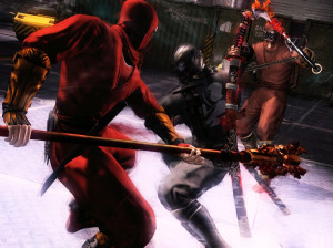 Ninja Gaiden 3 : Razor's Edge - Wii U