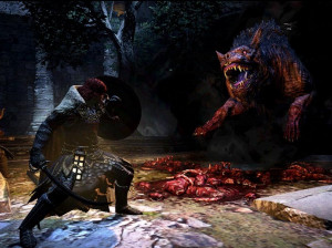 Dragon's Dogma : Dark Arisen - PS3