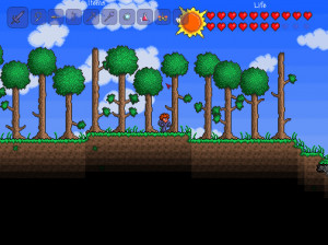 Terraria - PS3