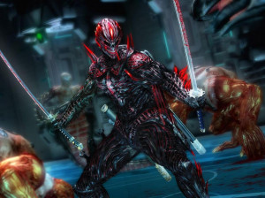 Ninja Gaiden 3 : Razor's Edge - PS3