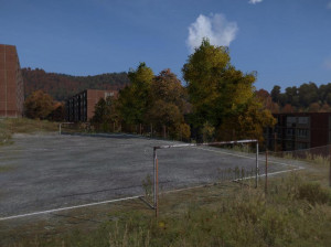 DayZ - PC