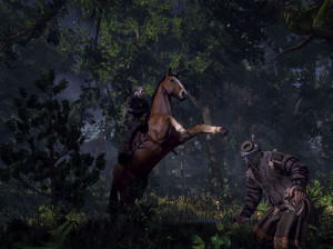 The Witcher III : Wild Hunt - PS4