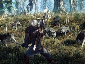 The Witcher III : Wild Hunt - PC