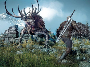 The Witcher III : Wild Hunt - PC