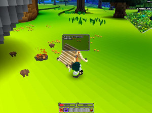 Cube World - PC