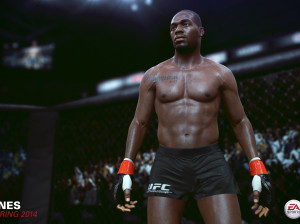 EA Sports UFC - PS4