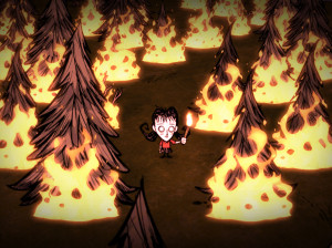 Don't Starve : Console Edition - PS4
