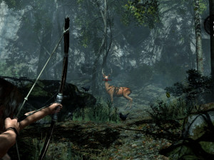 Tomb Raider : Definitive Edition - PS4