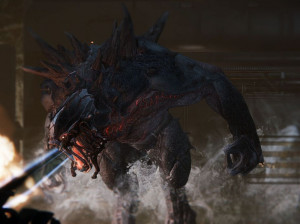 Evolve - PC