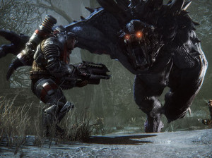 Evolve - PC