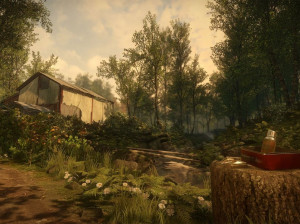 Everybody's Gone to the Rapture - PS4