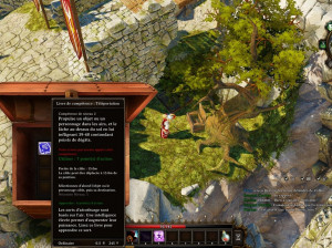 Divinity : Original Sin - PC