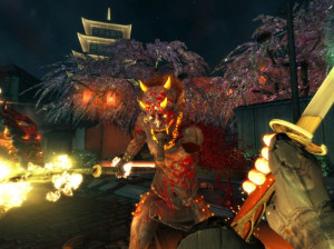 Shadow Warrior - PC