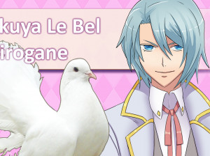 Hatoful Boyfriend - PC