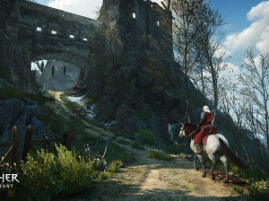 The Witcher III : Wild Hunt - PC