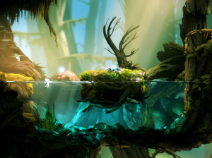 Ori and the Blind Forest - PC