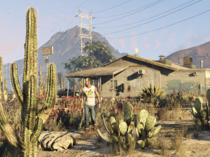 Grand Theft Auto V - PC