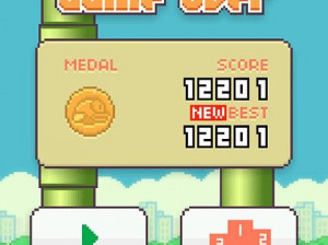 Flappy Bird - IOS