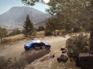 DiRT Rally - PC