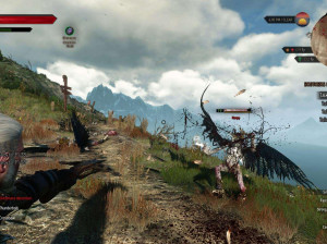 The Witcher III : Wild Hunt - PC