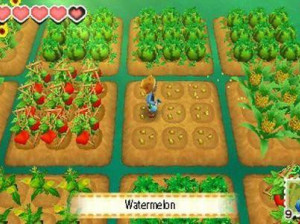 Story of Seasons - 3DS