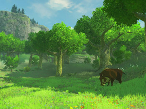 The Legend of Zelda : Breath of the Wild - Wii U