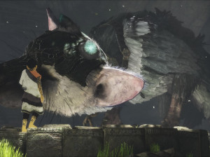 The Last Guardian - PS4