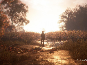 A Plague Tale : Innocence - PS4