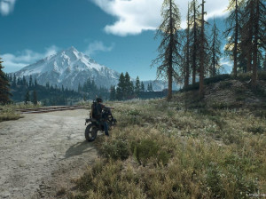 Days Gone - PS4