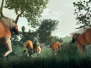 Ancestors : the Humankind Odyssey - PC