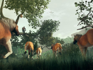 Ancestors : the Humankind Odyssey - PS4