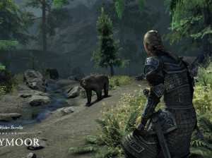 The Elder Scrolls Online : Greymoor - Mac