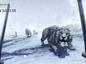 The Elder Scrolls Online : Greymoor - PC