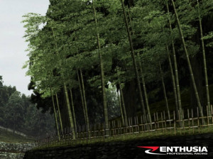 Enthusia Professional Racing - PS2