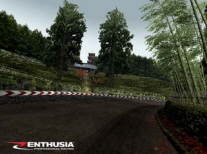 Enthusia Professional Racing - PS2